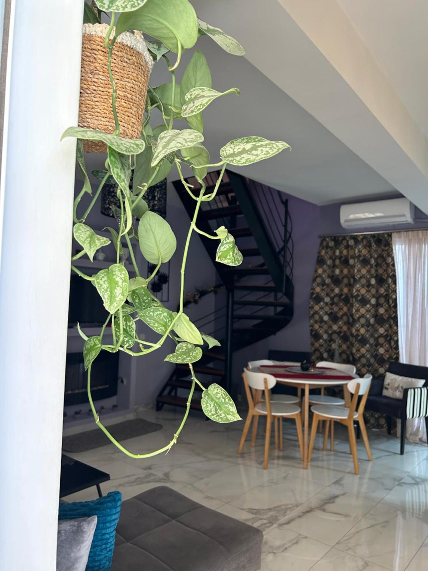 Zen Neapoli Penthouse Maisonette Athens